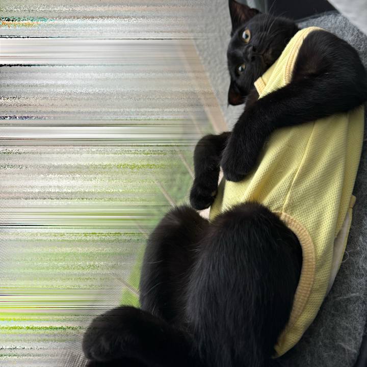 C7f23924 3493 40c9 9302 2d8011dbd758 1728111007061