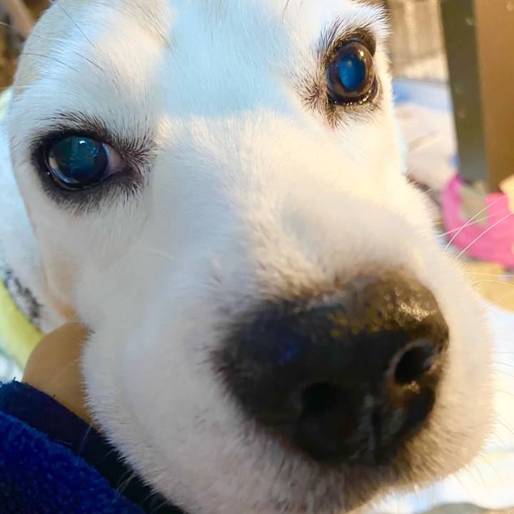 C7f241d4 440c 4b30 a297 5f53d0deb8d9 1641884172997