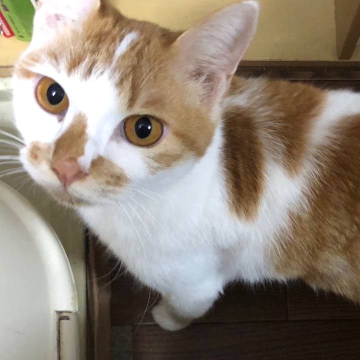 C7f27595 c6f4 4ffa aee7 64f5a6422b10 1602422264767