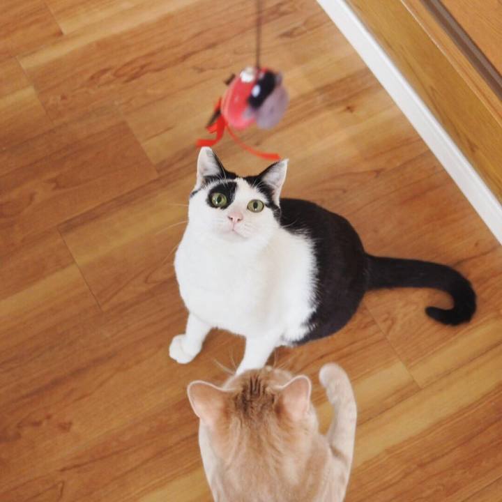 C7f28198 45b2 4976 8210 4e5d866f5ee3 1556279442853