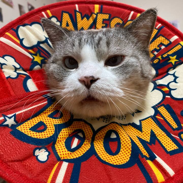 C7f2c0d3 58c4 48e1 971a 3f033e062250 1633178219853