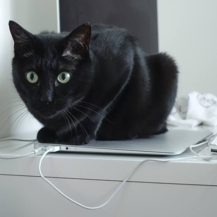 C7f2c0ec 00ee 48d1 bc86 79b6247bd9cc 1546399380821