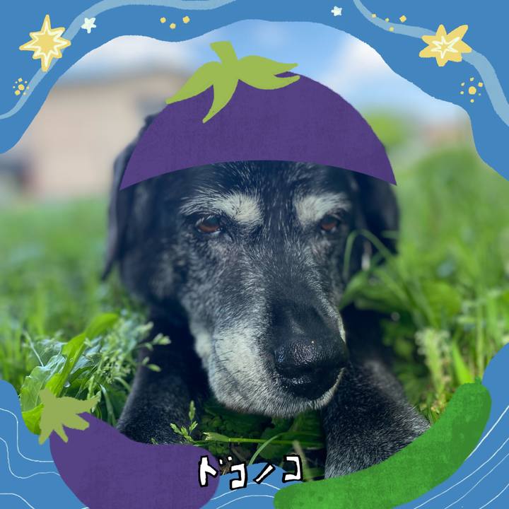 C7f2e4e9 785d 4059 bf11 76ec5dfc22e6 1755391627086