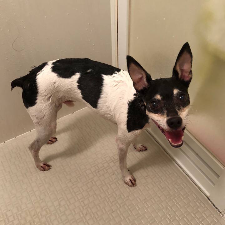 C7f30a54 6fd0 46f7 9e06 71bcff4e9112 1531702013107