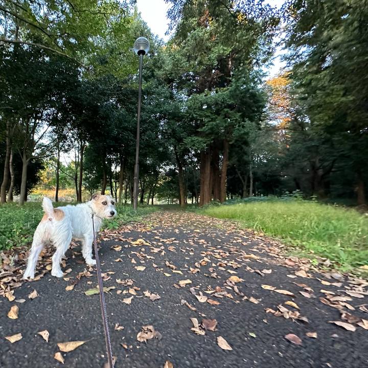 C7f3330b fccb 423d 8d05 126371ab1bfe 1730717341431