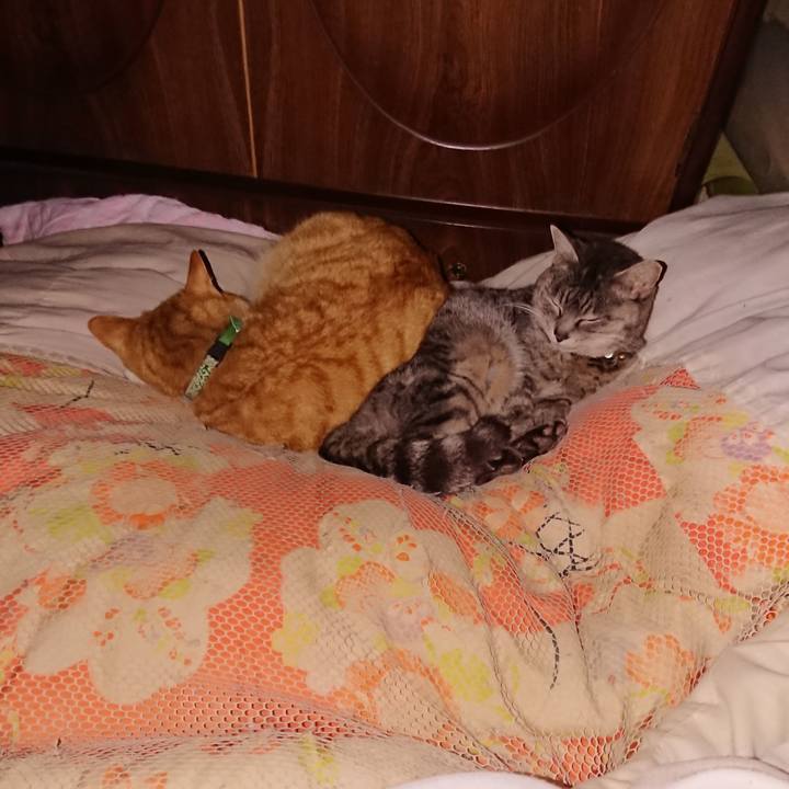 C7f35c05 8d4f 4378 a845 14e8e169faf5 1584461805450