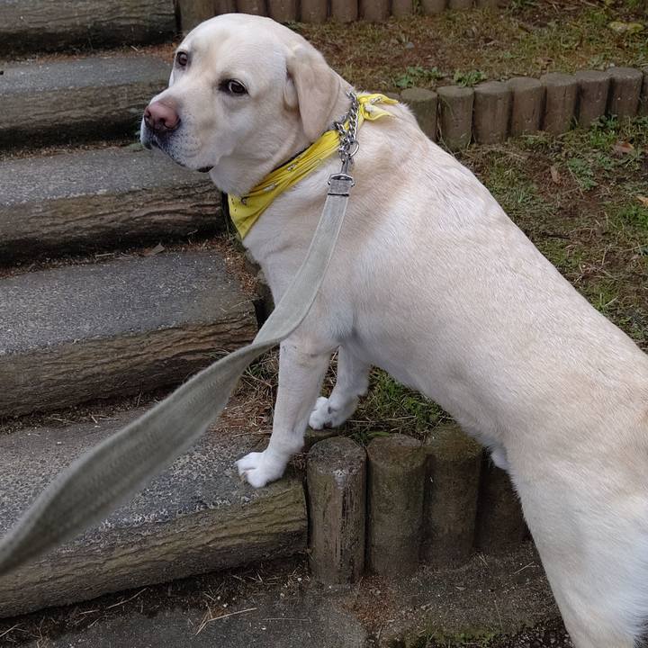 C7f3832d dd32 4075 9463 991807a11b9b 1603077705122