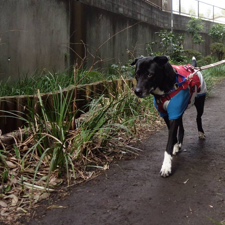 C7f46347 3b8b 4335 916d f27ec980f358 1677631830397