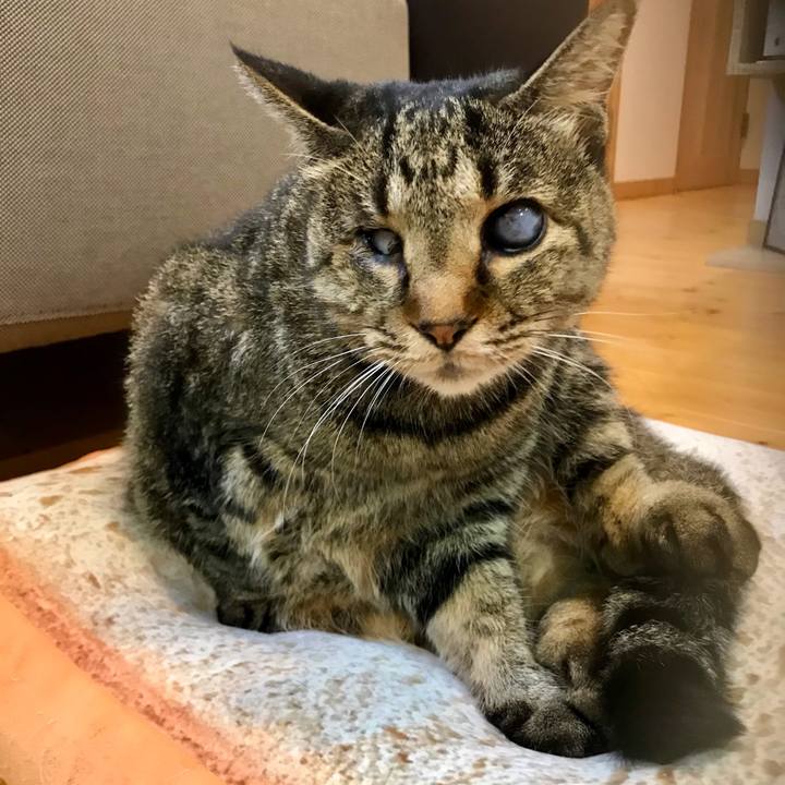 C7f475cc 045f 47a3 abb2 b56d4746d823 1606655505108