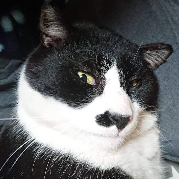 C7f4c060 7fc6 4aff b470 d9d0b15e1b0d 1552987910282