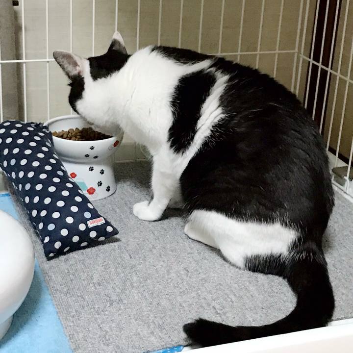 C7f4fb95 4e97 4099 a697 8a4407092aa4 1537752425076