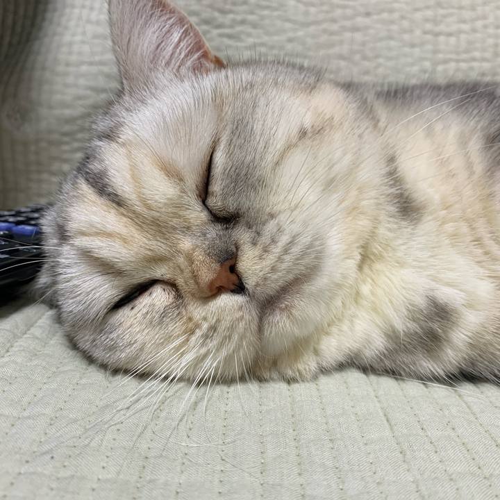 C7f4fd93 5281 402d a141 0eccea6f6f40 1711980793789