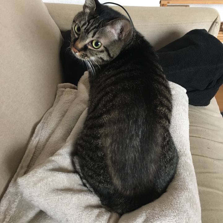 C7f511d8 47e1 4bcd bb78 bb191ae0d354 1546650976550