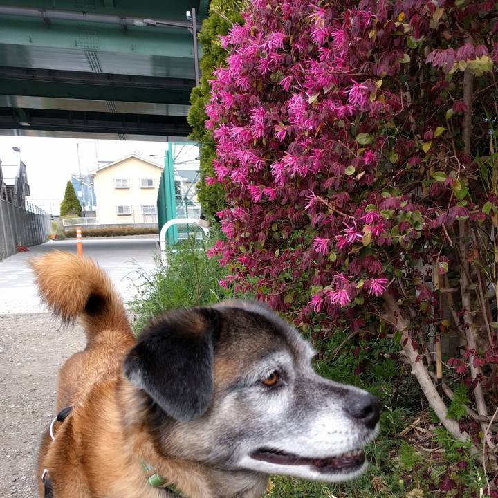 C7f5160b 7a8c 453f 8ea1 a76ec25ca4e3 1555459910997