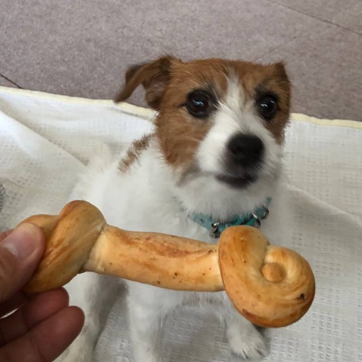 C7f52155 7fa0 4733 8355 45075efd2266 1569838740838