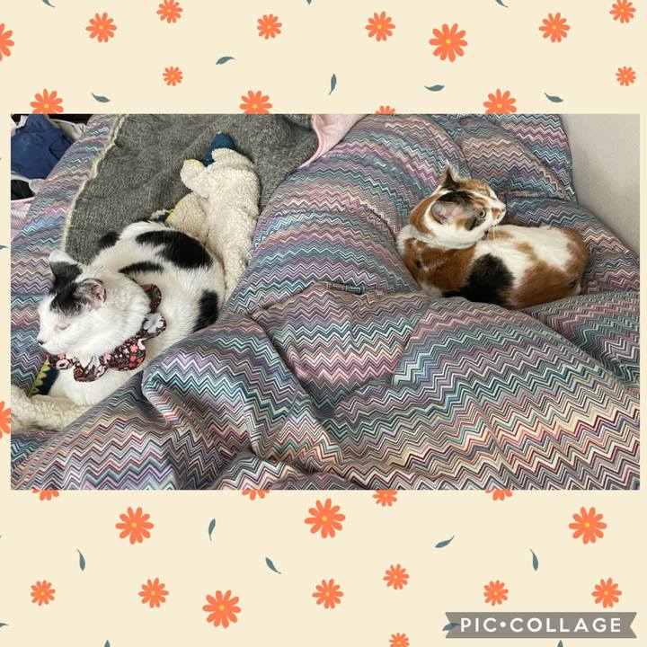 C7f521ea 1aab 4eb3 856e 4b8cc4d92e15 1679873572579