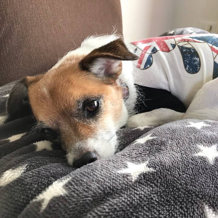 C7f52cc1 d28f 4ba2 b81c c3a0d16a07d1 1539751899497