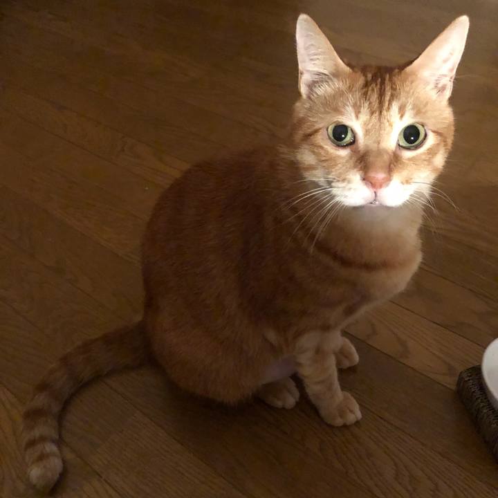 C7f536d2 d752 4ad7 be9a b2524bb935f5 1662737530494