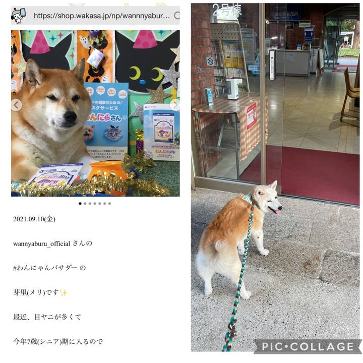 C7f5432d 0ce2 4aa1 83b0 a856788d04be 1633964088689