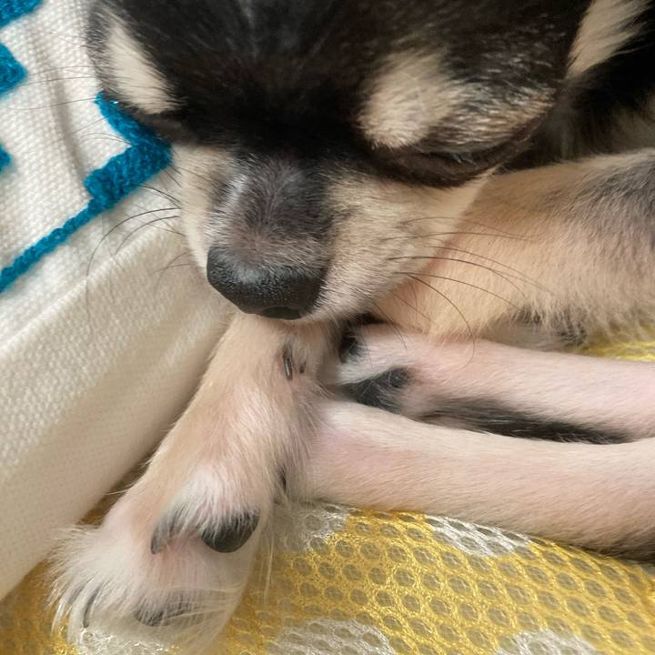 C7f54554 9d37 4d85 8560 4ceeac6c5456 1599050213542