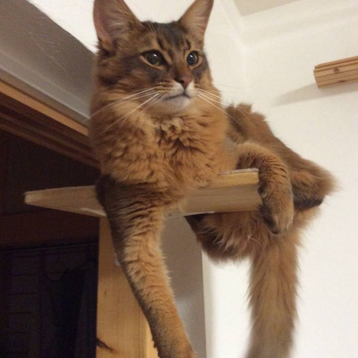 C7f5a2ed 54ab 4021 aa67 ed158d07f652 1623282702343