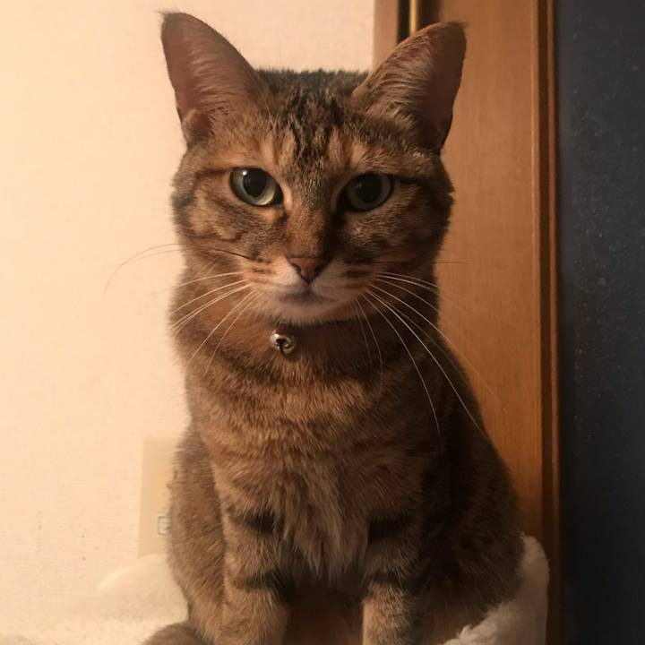 C7f5ac68 1b39 4177 af03 6bb5242b8778 1607908608748