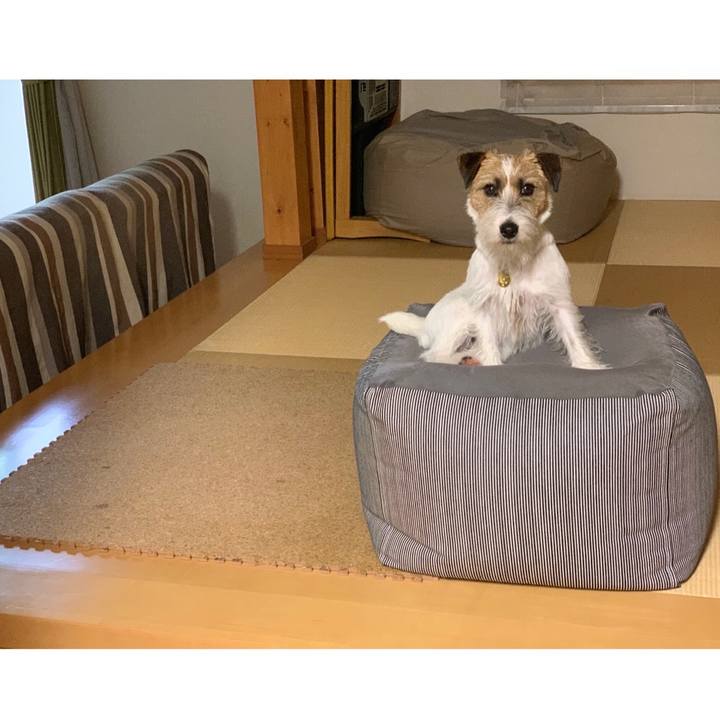 C7f606e3 5ea1 4086 b5f8 9cd1d44038a1 1590482402029