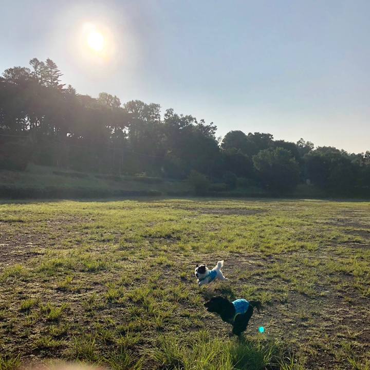 C7f61c48 fce4 4360 be96 315a037d0d3b 1560376936900