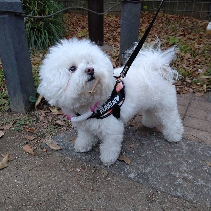 C7f62e20 e207 49eb adee fb6f441d97a4 1607415601100