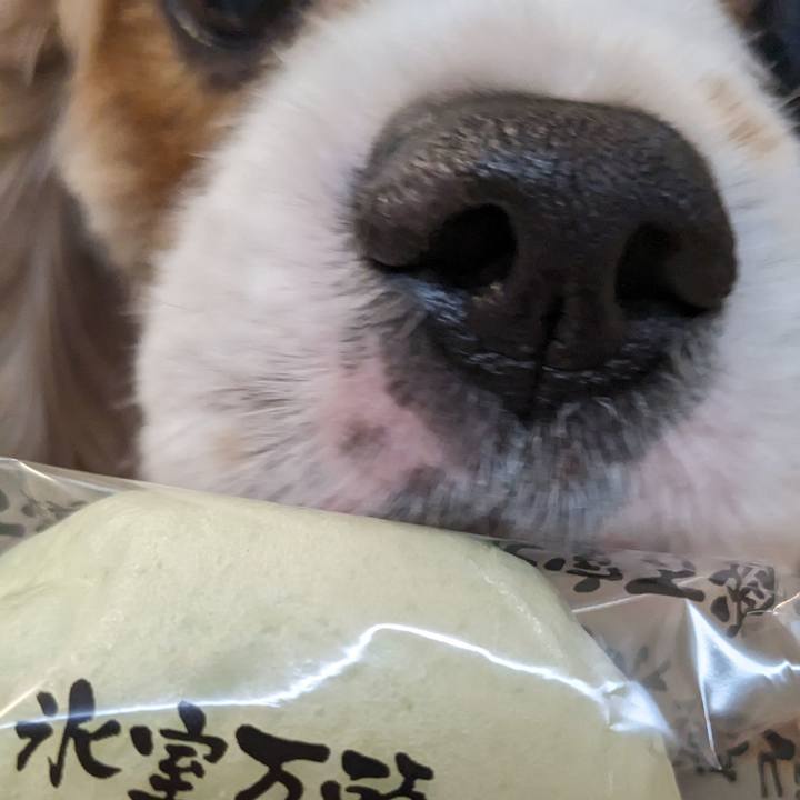 C7f642a7 6b50 4fdb 9db0 abc5500886b2 1719817353695