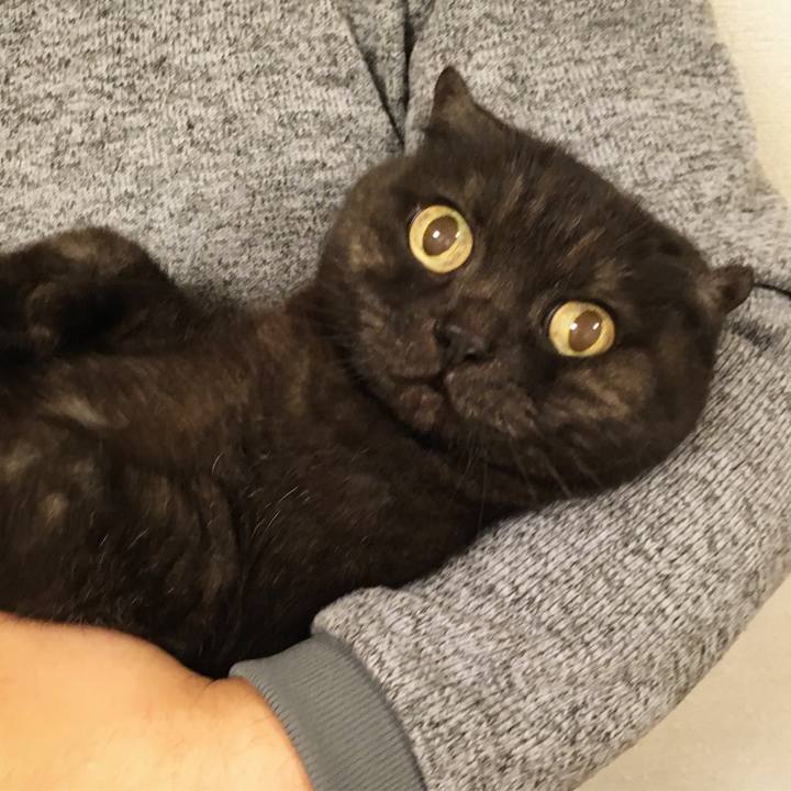 C7f65b27 cbf6 4ffe ba1c 6818326276e7 1580313608312