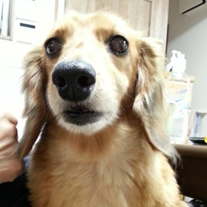 C7f66b38 10ed 4d2b 975d f27ff01827e9 1532097377329