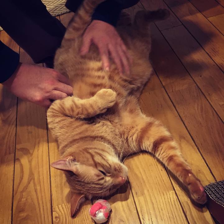 C7f67c0d 06a7 4431 b1cf bb47bdde1b03 1513336452102