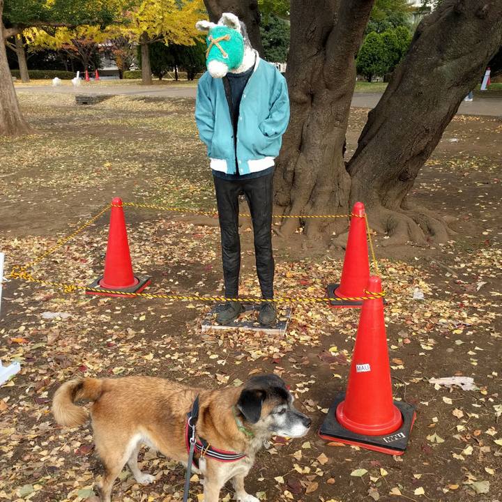 C7f6a42c 440e 4659 ae3e 9b9517e4670d 1755571416754