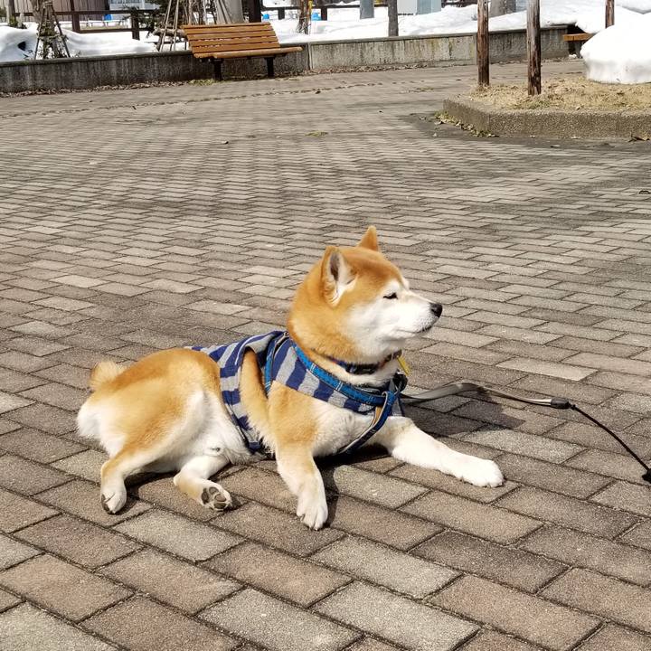 C7f6b6a3 c186 4f11 8987 83e24c1b489d 1551151523869