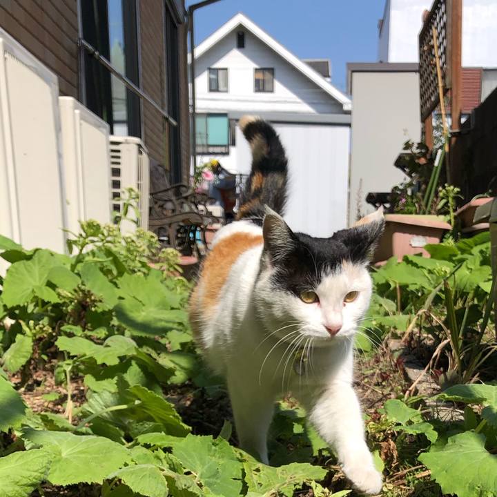 C7f6c643 5bb7 4996 a37f 346897c5a02a 1615288307165