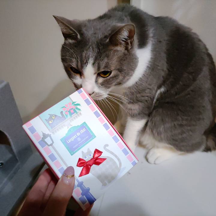 C7f6d493 11f5 45b2 911d 267f5052ebca 1710425892973