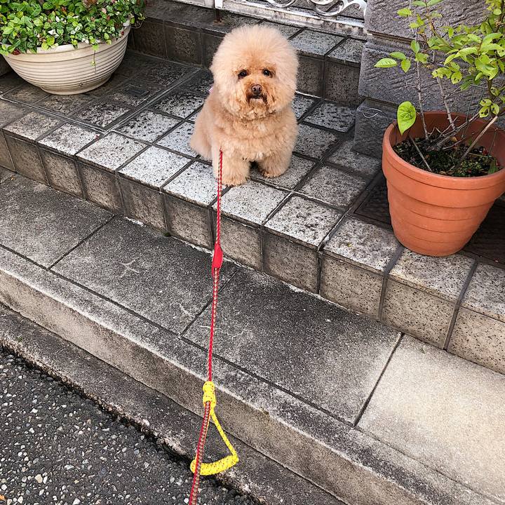 C7f7070f 639a 4a6e b8e1 aa198eaf4312 1559813067338