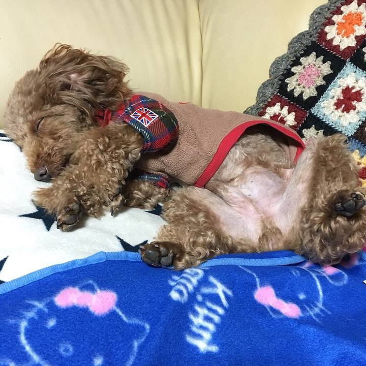 C7f70fde 7112 46ac beec 73ce0376c083 1518427654406