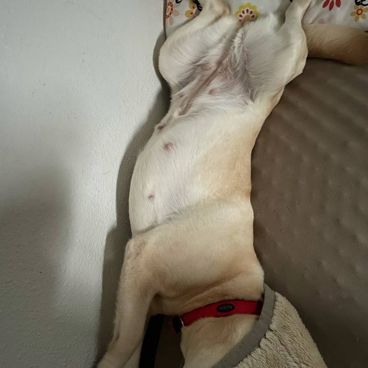 C7f72898 1328 4588 83c8 e8313eb562a0 1622065661531