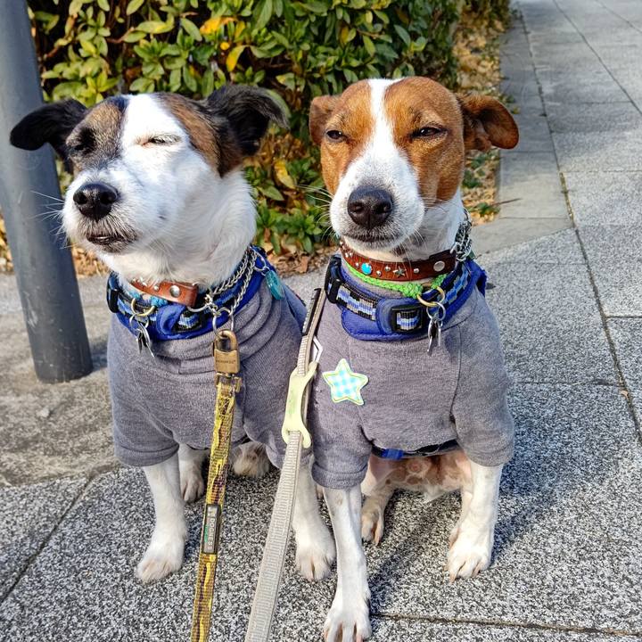 C7f77c5c 0c48 43c0 a0e3 714306397ad6 1641177584920