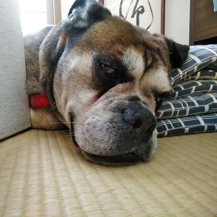 C7f7b287 c7ac 489d 9374 df1ef630f245 1564486260034