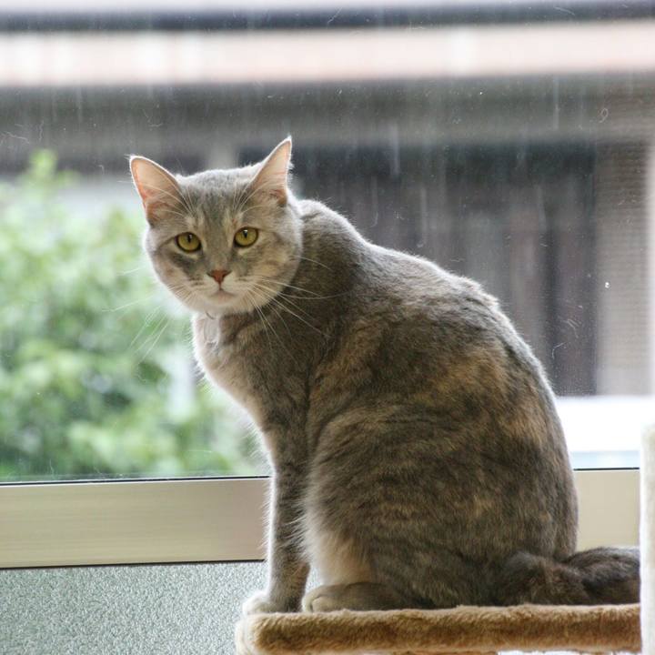 C7f7d06b 611e 4258 a536 0e8695e1c6db 1537409104599