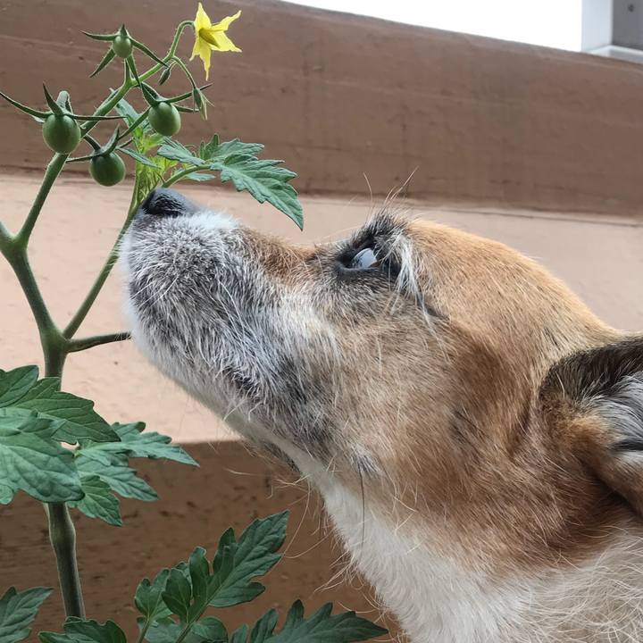 C7f7d1c9 f4e3 47ab a568 b5cf0d421776 1526606723415