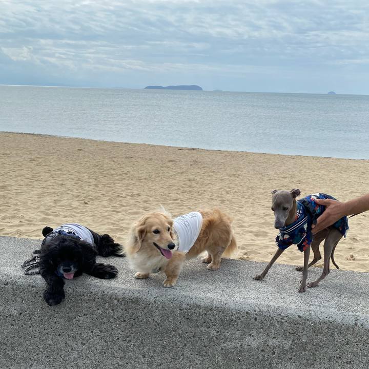 C7f7d262 766c 4987 84f9 716117868dae 1759533323220