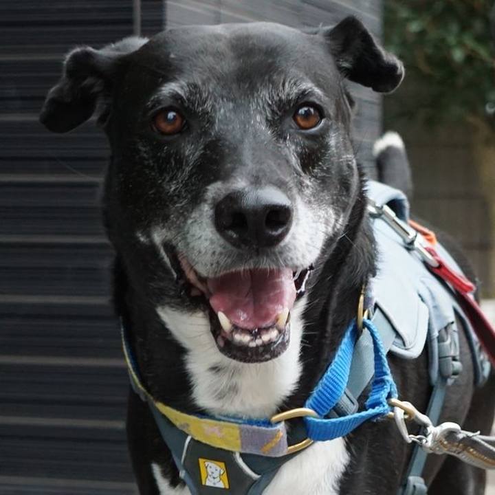 C7f7d9b5 29fd 4737 820c 70c759742107 1759969534601