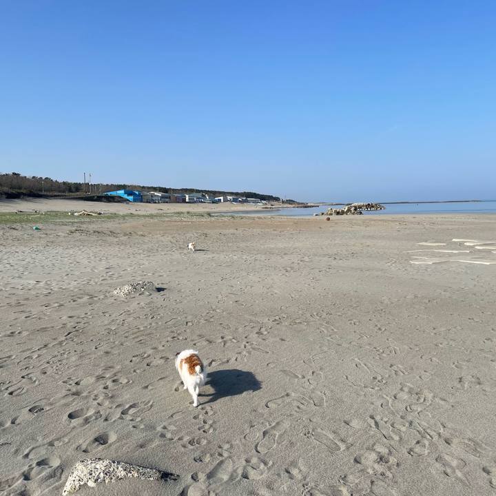 C7f7fc0b 7b1d 4a5e 97a5 e6f49b71285a 1713137575012