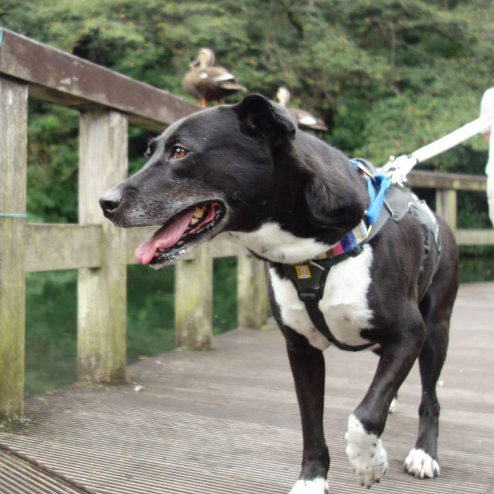 C7f82f1f 61a4 41ef 813c 6aa42d54eb61 1662776445904