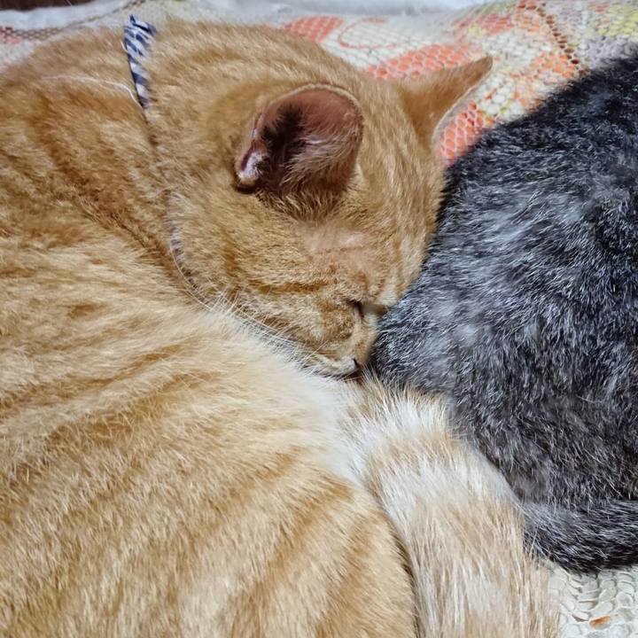 C7f83899 1377 4d8b bf33 e59a52fea478 1571751168870