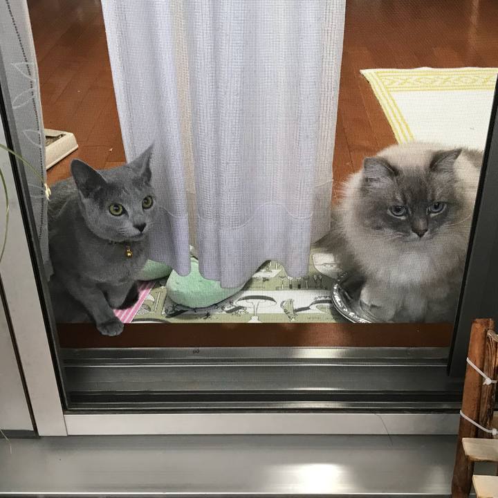 C7f85de0 8dfb 4348 98dd 1942c8c564fb 1516630502386